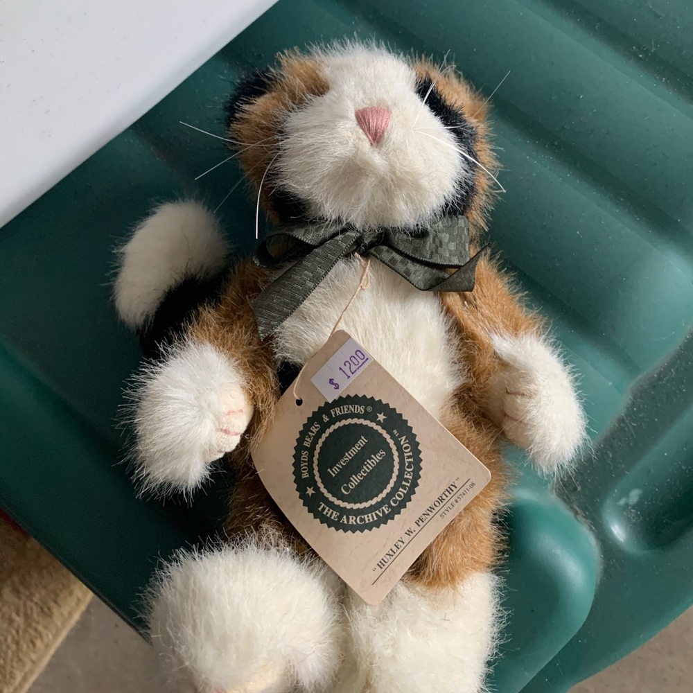 Boyd’s bear